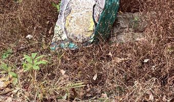 BIG HORN Trail, Augusta, WV 26704