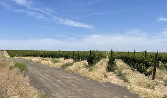 38 VINEYARD VIEW Dr, Bickleton, WA 99322