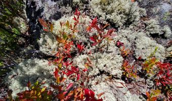 W McMann & Porcupine Hill Road lot 3, Addison, ME 04606