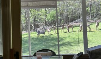 267 Back 9 Dr, Baneberry, TN 37890