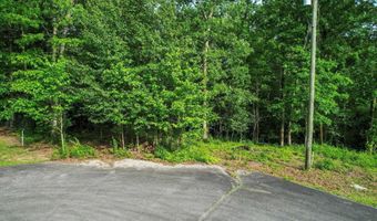 Lots 16-18 Creekside Lane SE, Arab, AL 35016