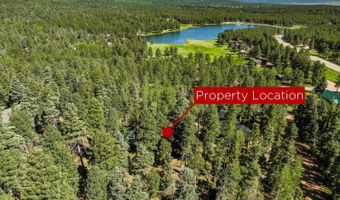 17 Lakeview Cir, Angel Fire, NM 87710