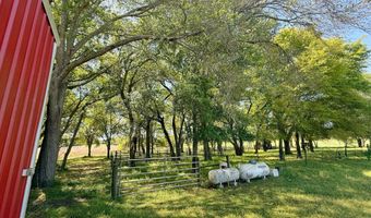 6491 Wolf Pond Rd, Bascom, FL 32423