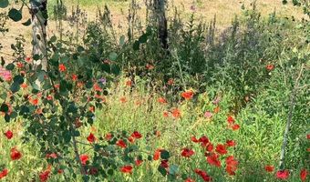 440 STRAWBERRY HILLS Dr, Bedford, WY 83112