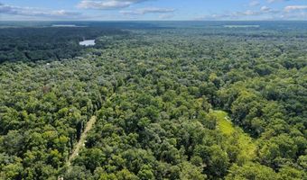 0000 73rd Way, Bell, FL 32619
