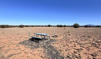 45 Xxx N Tanner Rd, Ash Fork, AZ 86320