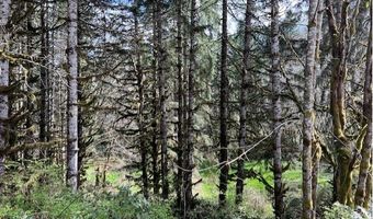 Northrup Creek Rd, Birkenfeld, OR 97016