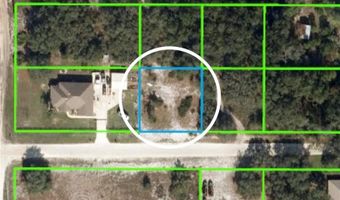 2356 W Wellston Rd, Avon Park, FL 33825