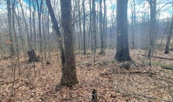 Glade Run Road, Albright, WV 26519