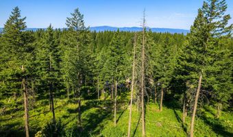 24 Bridle Ct, Bigfork, MT 59911