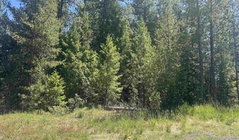 Saddle Rock Dr, Cascade, ID 83611