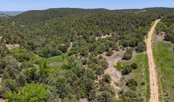 Sunrise Dr, Aguilar, CO 81020