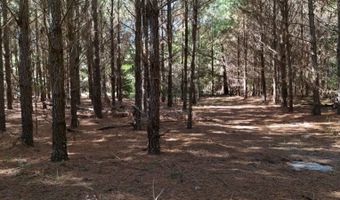 01 Goose Platter Rd, Batesburg, SC 29006