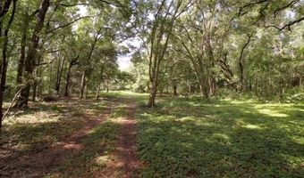 15422 SW 50TH Ave, Archer, FL 32618
