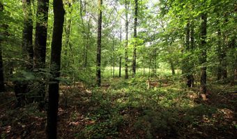 000 AVE 5 SW St, Atkins, AR 72823