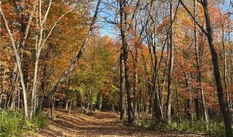 999 Porcupine Trl, Aitkin, MN 56431