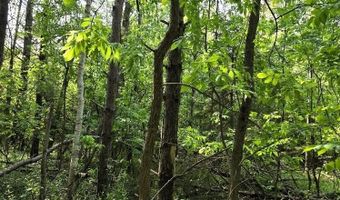 Martin Road, Alpena, MI 49707