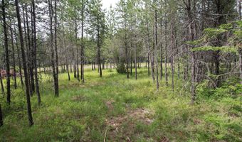 Nka N SYLVAN ROAD ROAD, Athol, ID 83801