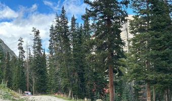 355 QUANDARY VIEW Dr, Breckenridge, CO 80424
