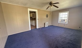 115 Duggan Ave, Anton, TX 79313