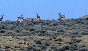 Tbd Takota Lane, Belfry, MT 59008