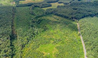 62- Acres Grandmas Hill Rd, Amherst, VA 24521