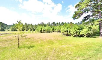 13 89 Ac Lumby Smith & Hwy 37, Adel, GA 31620
