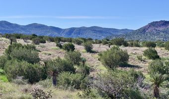 TR 111 Sierra La Rana, Alpine, TX 79830