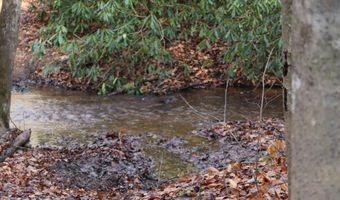 Brair Fork Road, Bean Station, TN 37708