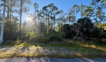 2313 Truman Ave, Alva, FL 33920