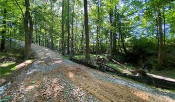 Tract 2 Hwy 51S, Homer, GA 30547