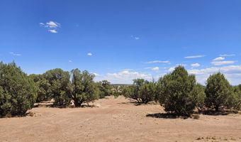 27 N 9183, Concho, AZ 85924