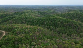 694 A Tunnel Ridge Rd, Argillite, KY 41121