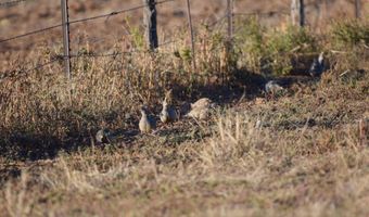 State Highway 214, Adrian, TX 79001