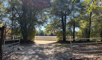 5894 Jasper Rd, Bascom, FL 32423
