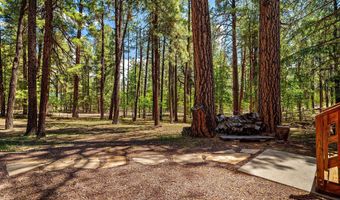 20 County Rd N2120, Alpine, AZ 85920