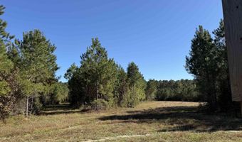57 40 Acres-TBD Cades Rd, Cades, SC 29518