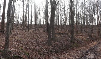 Route 12 Road, Alum Creek, WV 25003