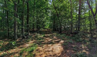 Old Grist Mill Road, Appomattox, VA 24522