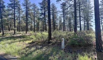 782 Hawks Meadow Dr, Bayfield, CO 81122