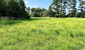0 BAILEY Rd, Baileyton, AL 35019