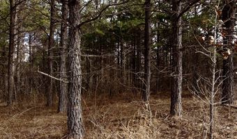 000 County Road U-105A, Ava, MO 65608