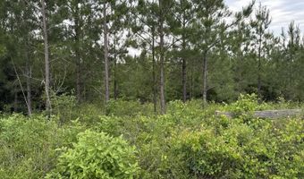 NW Church Road, Altha, FL 32421