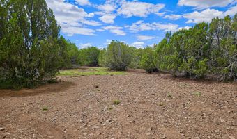 29 Co Rd 3199, Vernon, AZ 85940