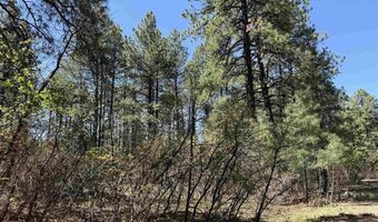 156 Lake View Cir, Bayfield, CO 81122