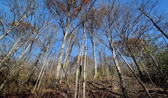 0 State Route 550, Amesville, OH 45711