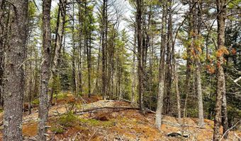TM 413 L 99 King Road, Alexandria, NH 03222