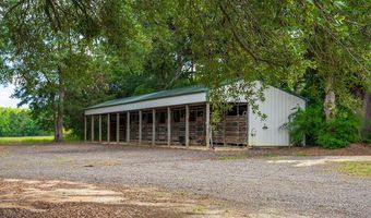 1792 Appleton Rd, Allendale, SC 29810