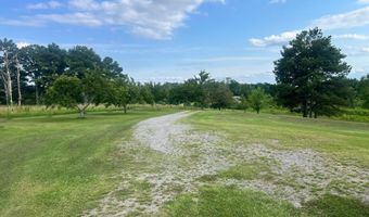 97 COUNTY ROAD 142, Arley, AL 35541