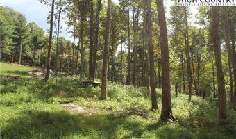 Lot V83 Eagles Nest, Banner Elk, NC 28604